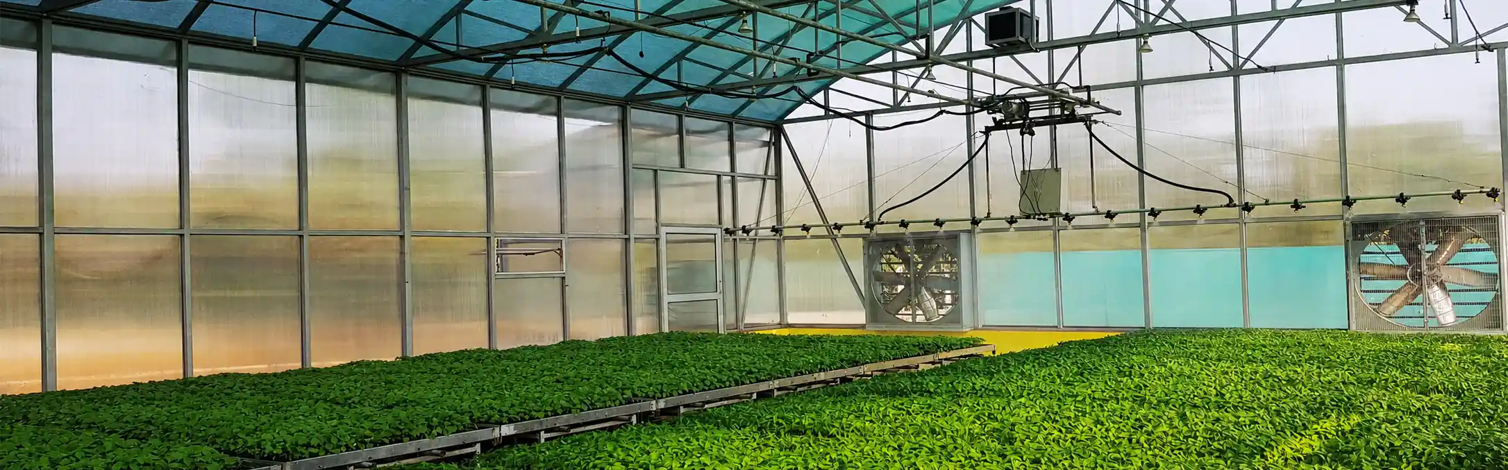 Hi-Tech Nursery