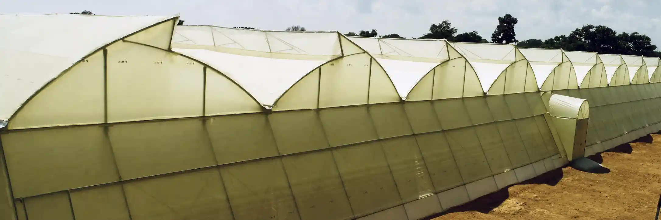 Polyhouse Agriculture Infrastructure