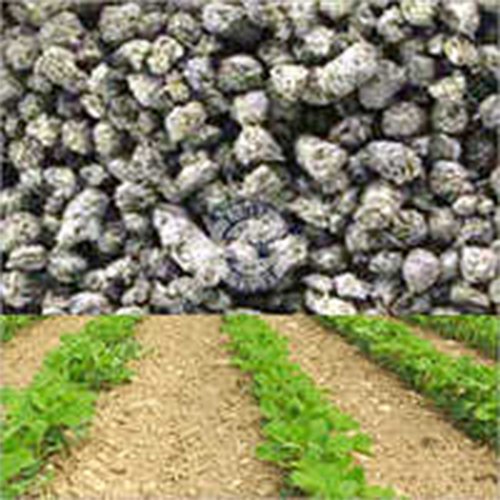 Phosphorus Rich Manure