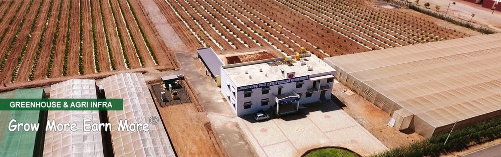 Soilless Growing System