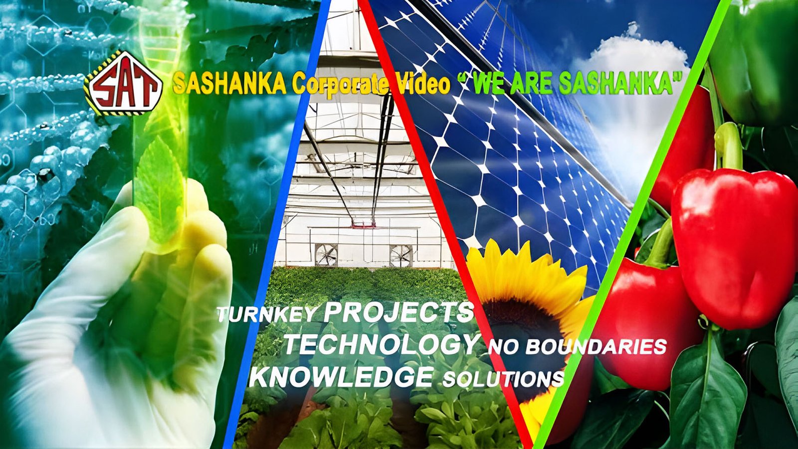 Solar Greenhouse Video